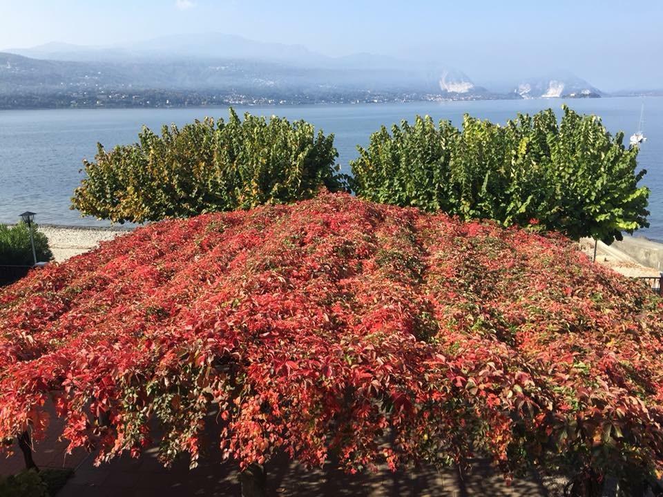 Albergo Riva Reno Di Leggiuno Luaran gambar